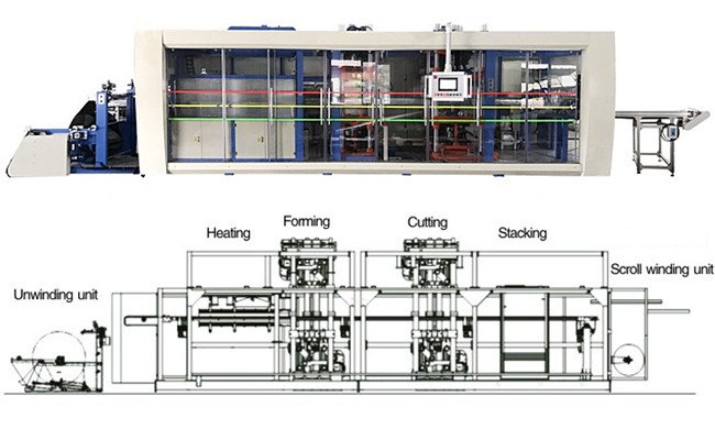 honggang automatic plastic thermoforming machine for sale